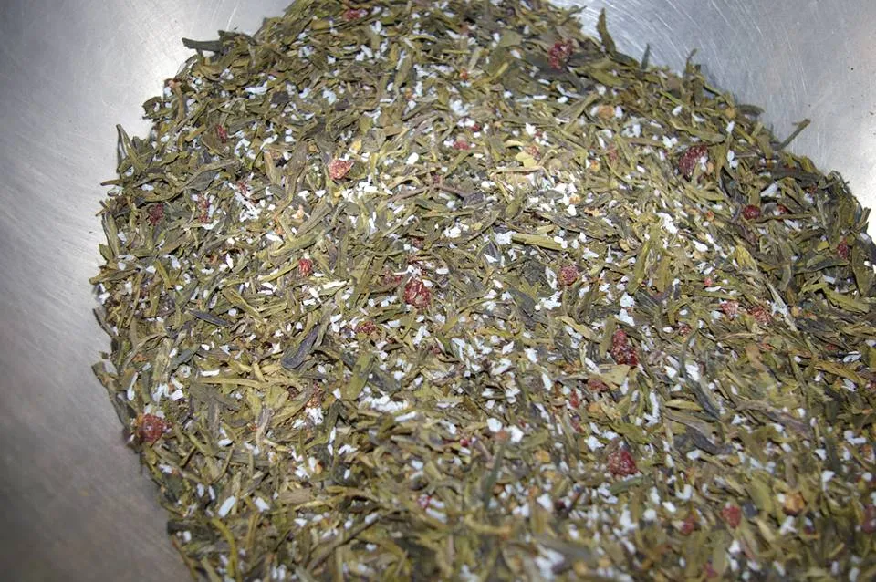 Winter Dragon blended