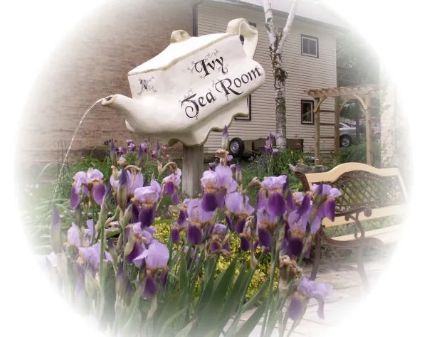 The Ivy Tea Room Teapot